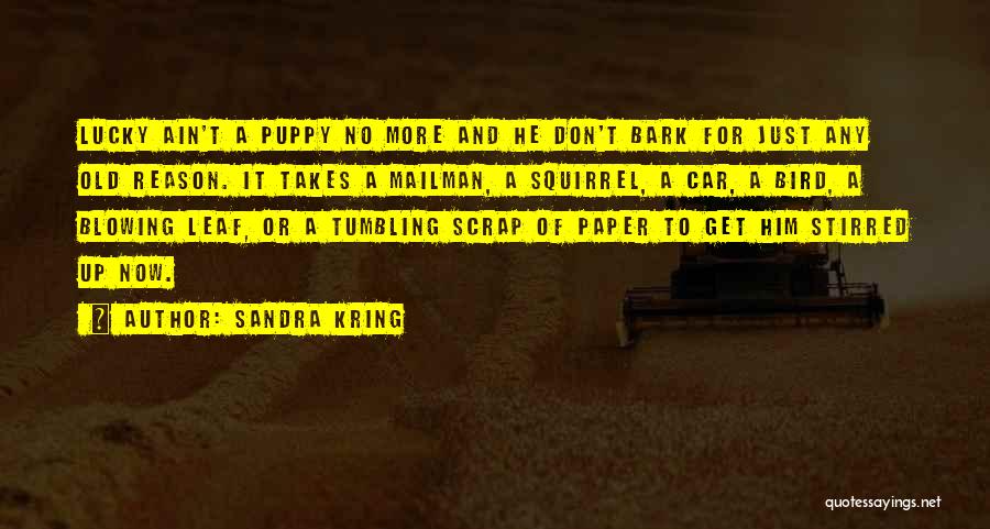 Sandra Kring Quotes: Lucky Ain't A Puppy No More And He Don't Bark For Just Any Old Reason. It Takes A Mailman, A