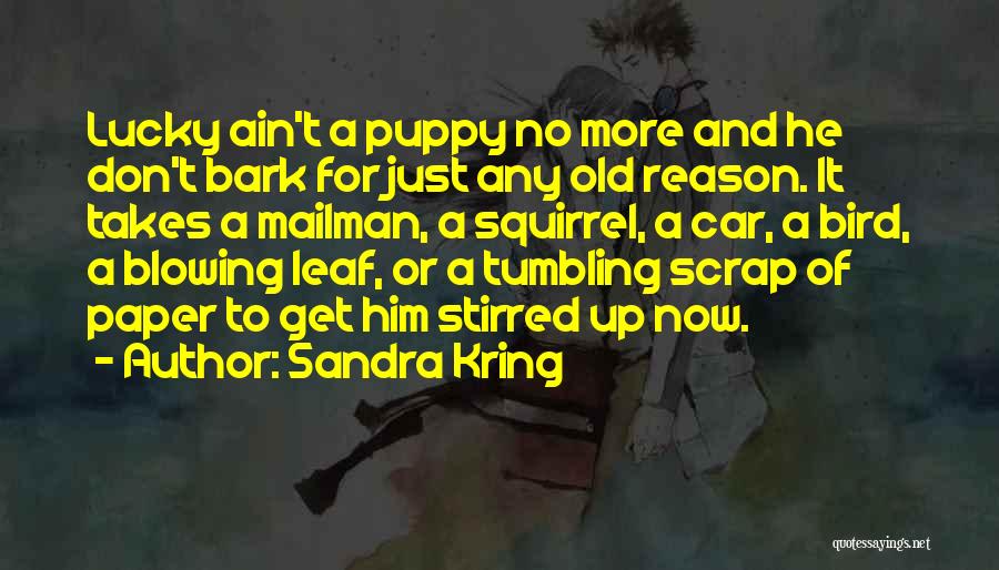 Sandra Kring Quotes: Lucky Ain't A Puppy No More And He Don't Bark For Just Any Old Reason. It Takes A Mailman, A