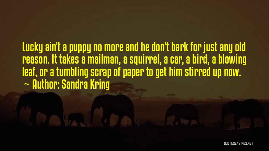 Sandra Kring Quotes: Lucky Ain't A Puppy No More And He Don't Bark For Just Any Old Reason. It Takes A Mailman, A