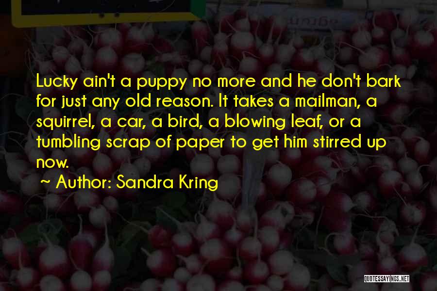 Sandra Kring Quotes: Lucky Ain't A Puppy No More And He Don't Bark For Just Any Old Reason. It Takes A Mailman, A