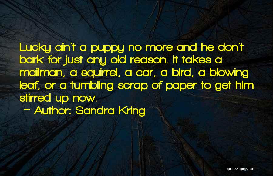 Sandra Kring Quotes: Lucky Ain't A Puppy No More And He Don't Bark For Just Any Old Reason. It Takes A Mailman, A