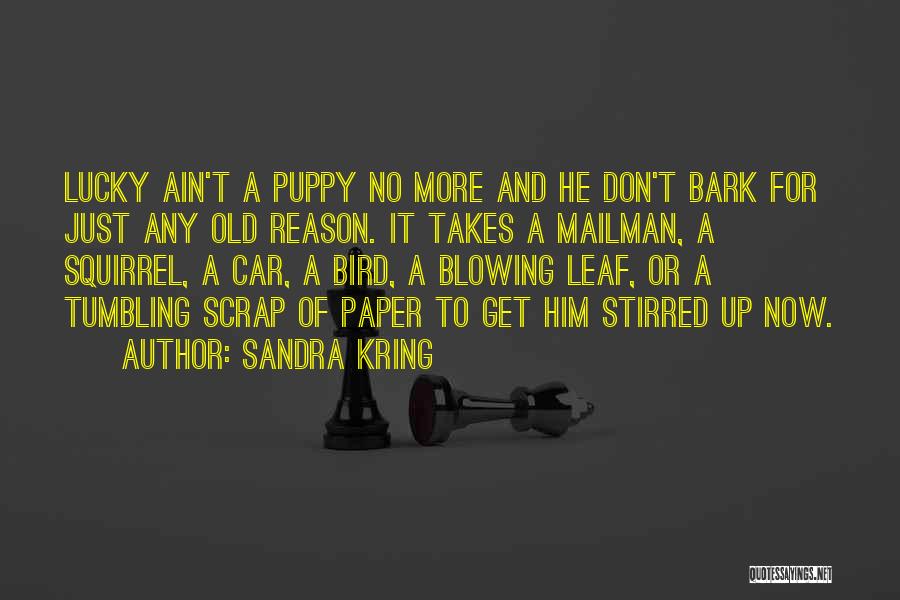 Sandra Kring Quotes: Lucky Ain't A Puppy No More And He Don't Bark For Just Any Old Reason. It Takes A Mailman, A