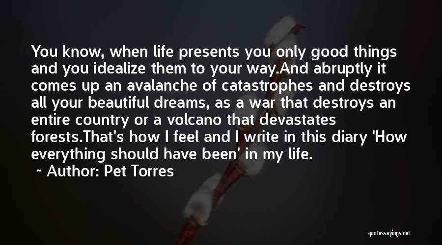 Pet Torres Quotes: You Know, When Life Presents You Only Good Things And You Idealize Them To Your Way.and Abruptly It Comes Up