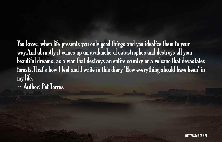 Pet Torres Quotes: You Know, When Life Presents You Only Good Things And You Idealize Them To Your Way.and Abruptly It Comes Up