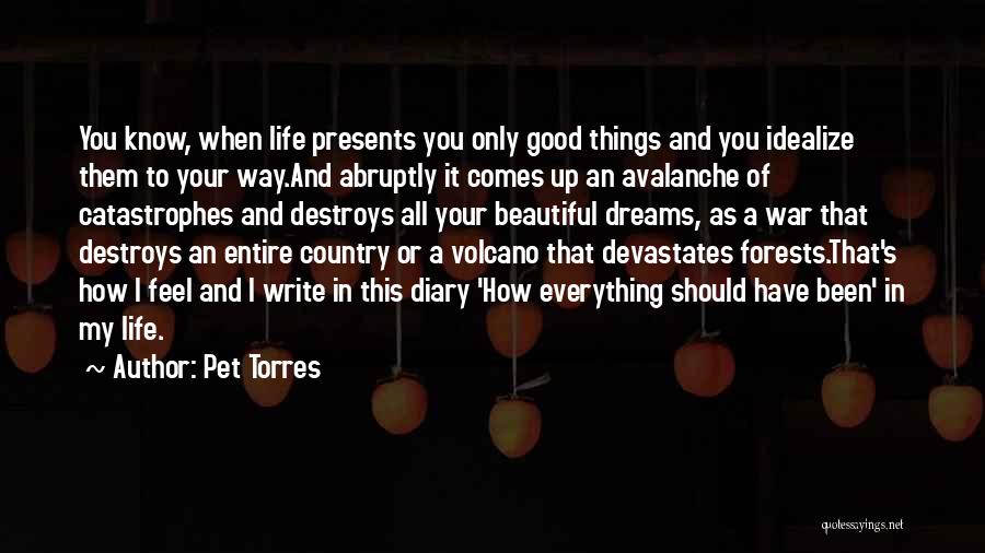 Pet Torres Quotes: You Know, When Life Presents You Only Good Things And You Idealize Them To Your Way.and Abruptly It Comes Up