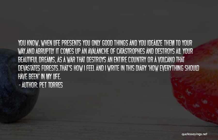 Pet Torres Quotes: You Know, When Life Presents You Only Good Things And You Idealize Them To Your Way.and Abruptly It Comes Up