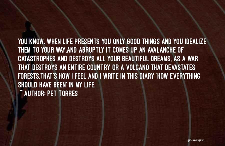Pet Torres Quotes: You Know, When Life Presents You Only Good Things And You Idealize Them To Your Way.and Abruptly It Comes Up