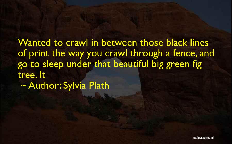 Sylvia Plath Quotes: Wanted To Crawl In Between Those Black Lines Of Print The Way You Crawl Through A Fence, And Go To