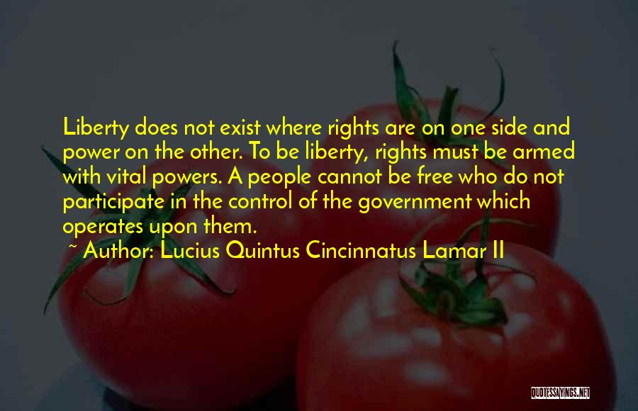 Lucius Quintus Cincinnatus Lamar II Quotes: Liberty Does Not Exist Where Rights Are On One Side And Power On The Other. To Be Liberty, Rights Must