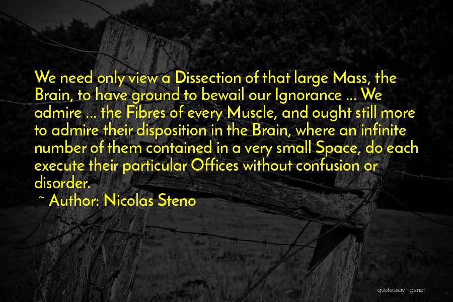 Nicolas Steno Quotes: We Need Only View A Dissection Of That Large Mass, The Brain, To Have Ground To Bewail Our Ignorance ...