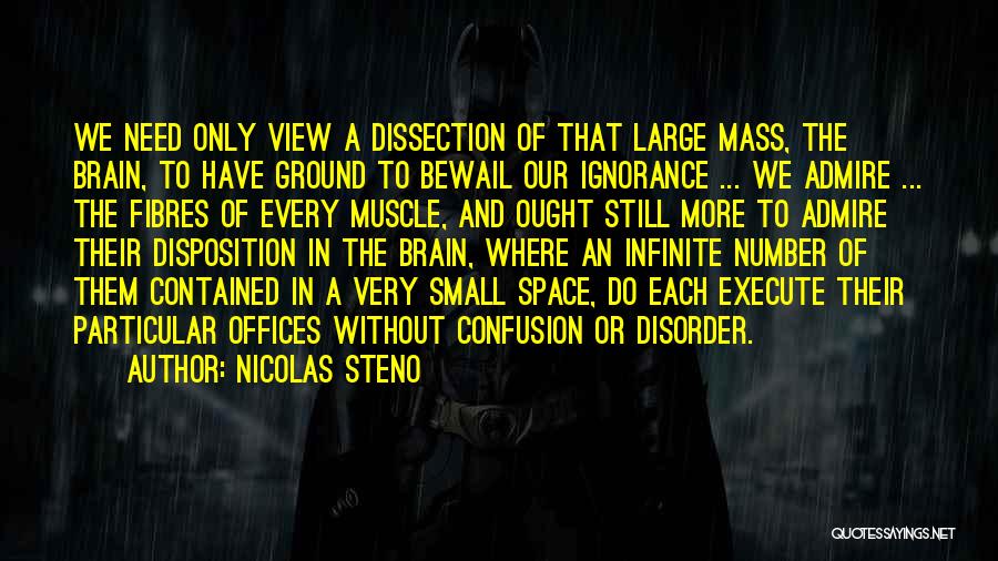 Nicolas Steno Quotes: We Need Only View A Dissection Of That Large Mass, The Brain, To Have Ground To Bewail Our Ignorance ...