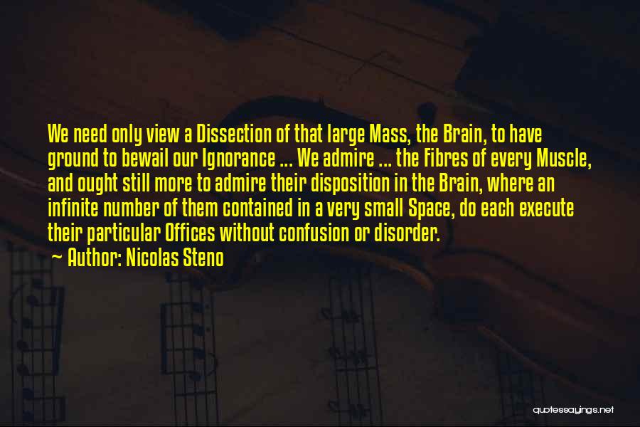 Nicolas Steno Quotes: We Need Only View A Dissection Of That Large Mass, The Brain, To Have Ground To Bewail Our Ignorance ...