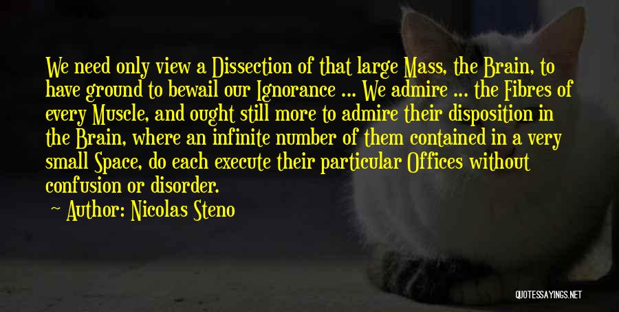 Nicolas Steno Quotes: We Need Only View A Dissection Of That Large Mass, The Brain, To Have Ground To Bewail Our Ignorance ...