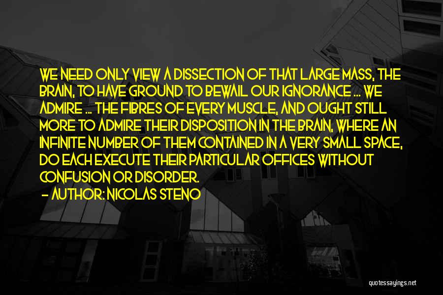 Nicolas Steno Quotes: We Need Only View A Dissection Of That Large Mass, The Brain, To Have Ground To Bewail Our Ignorance ...