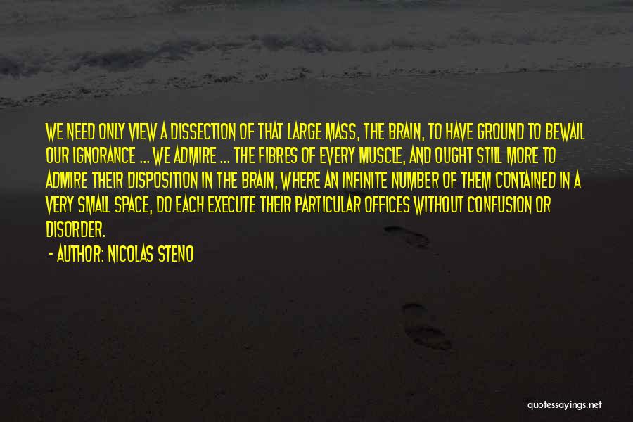 Nicolas Steno Quotes: We Need Only View A Dissection Of That Large Mass, The Brain, To Have Ground To Bewail Our Ignorance ...