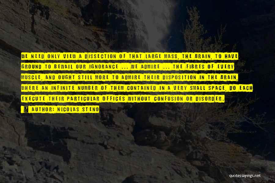 Nicolas Steno Quotes: We Need Only View A Dissection Of That Large Mass, The Brain, To Have Ground To Bewail Our Ignorance ...