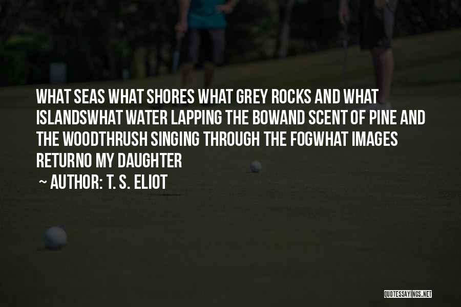 T. S. Eliot Quotes: What Seas What Shores What Grey Rocks And What Islandswhat Water Lapping The Bowand Scent Of Pine And The Woodthrush