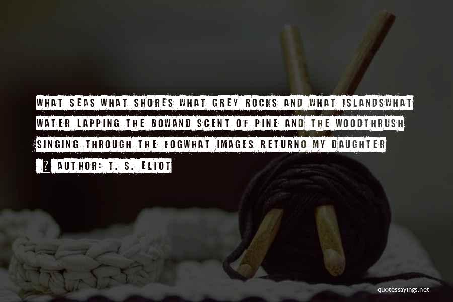 T. S. Eliot Quotes: What Seas What Shores What Grey Rocks And What Islandswhat Water Lapping The Bowand Scent Of Pine And The Woodthrush