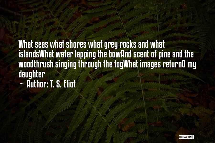 T. S. Eliot Quotes: What Seas What Shores What Grey Rocks And What Islandswhat Water Lapping The Bowand Scent Of Pine And The Woodthrush