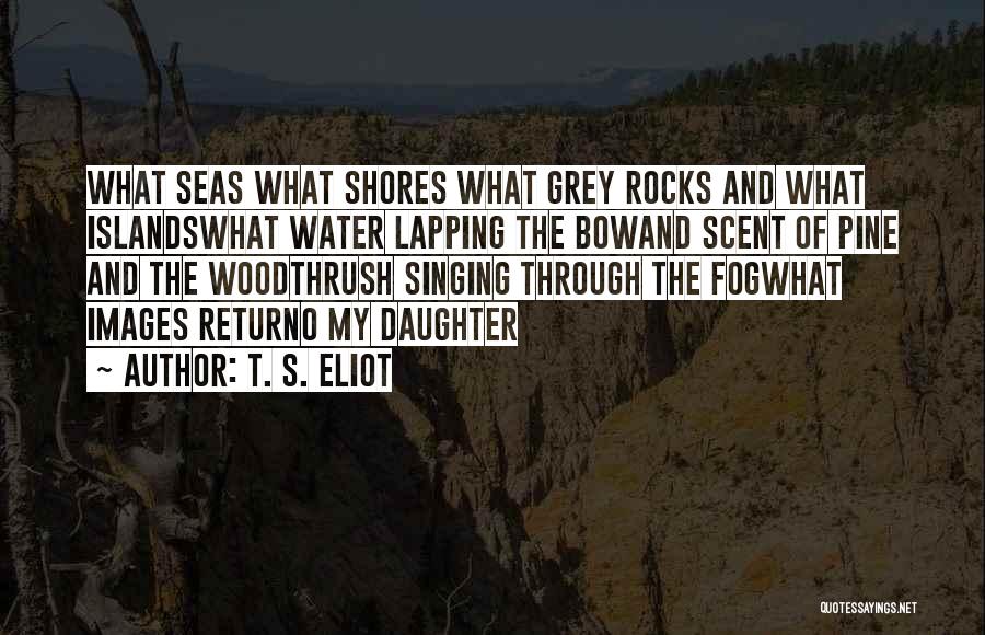 T. S. Eliot Quotes: What Seas What Shores What Grey Rocks And What Islandswhat Water Lapping The Bowand Scent Of Pine And The Woodthrush