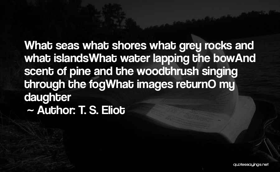 T. S. Eliot Quotes: What Seas What Shores What Grey Rocks And What Islandswhat Water Lapping The Bowand Scent Of Pine And The Woodthrush