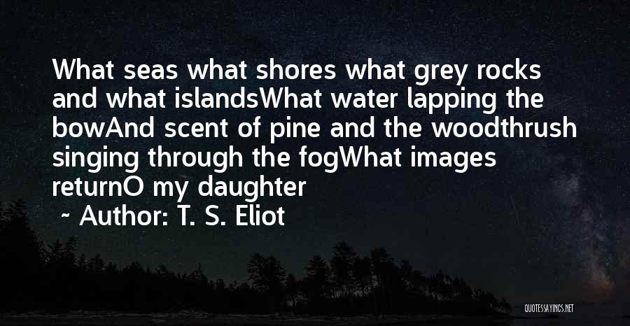 T. S. Eliot Quotes: What Seas What Shores What Grey Rocks And What Islandswhat Water Lapping The Bowand Scent Of Pine And The Woodthrush