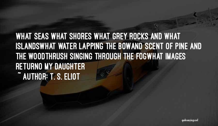 T. S. Eliot Quotes: What Seas What Shores What Grey Rocks And What Islandswhat Water Lapping The Bowand Scent Of Pine And The Woodthrush