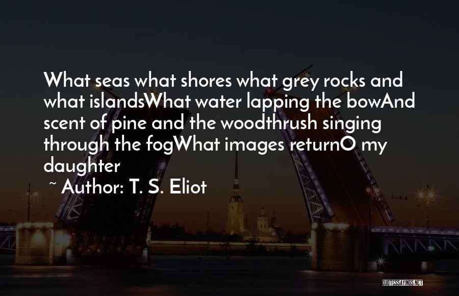 T. S. Eliot Quotes: What Seas What Shores What Grey Rocks And What Islandswhat Water Lapping The Bowand Scent Of Pine And The Woodthrush