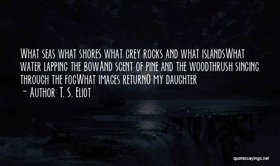 T. S. Eliot Quotes: What Seas What Shores What Grey Rocks And What Islandswhat Water Lapping The Bowand Scent Of Pine And The Woodthrush