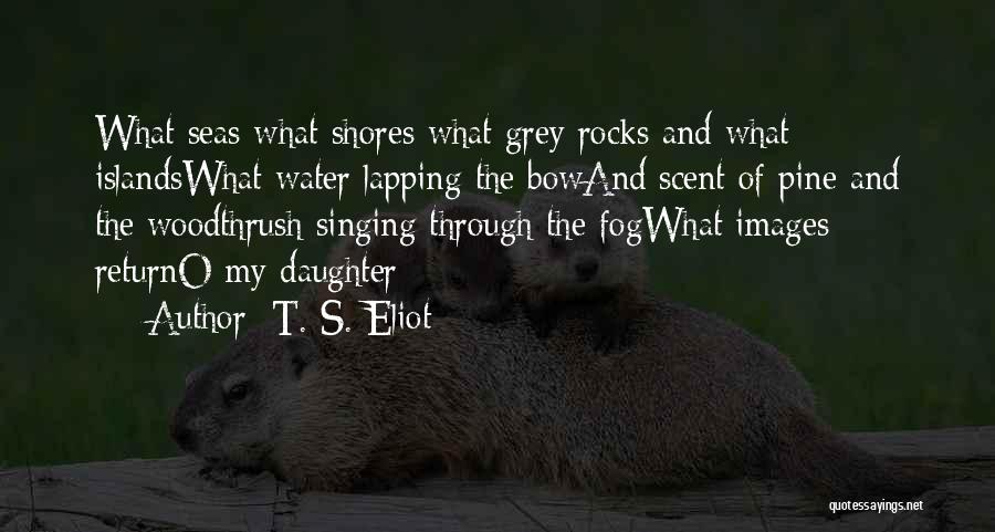 T. S. Eliot Quotes: What Seas What Shores What Grey Rocks And What Islandswhat Water Lapping The Bowand Scent Of Pine And The Woodthrush