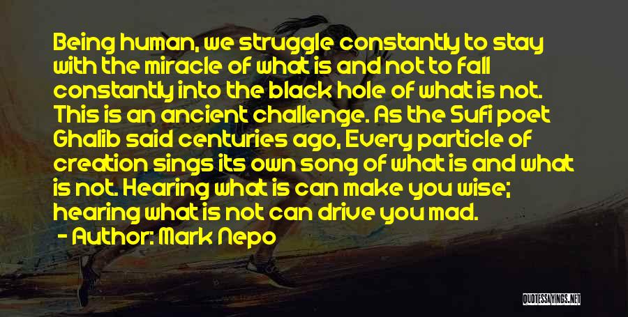 Mark Nepo Quotes: Being Human, We Struggle Constantly To Stay With The Miracle Of What Is And Not To Fall Constantly Into The