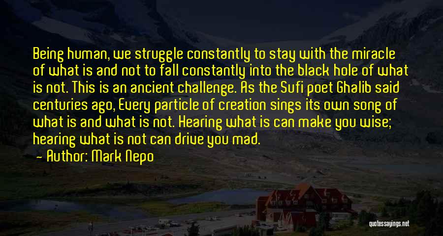 Mark Nepo Quotes: Being Human, We Struggle Constantly To Stay With The Miracle Of What Is And Not To Fall Constantly Into The