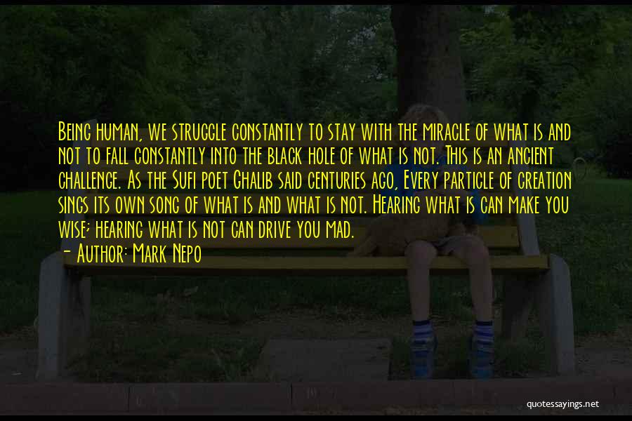 Mark Nepo Quotes: Being Human, We Struggle Constantly To Stay With The Miracle Of What Is And Not To Fall Constantly Into The