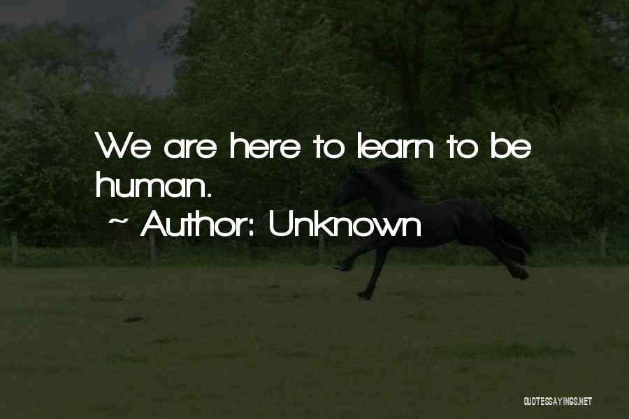 Unknown Quotes: We Are Here To Learn To Be Human.