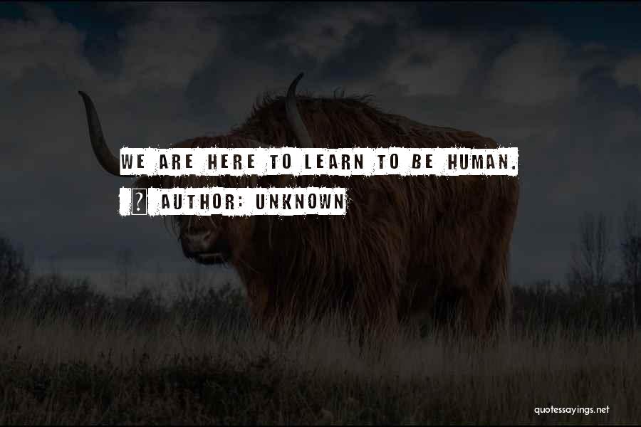 Unknown Quotes: We Are Here To Learn To Be Human.