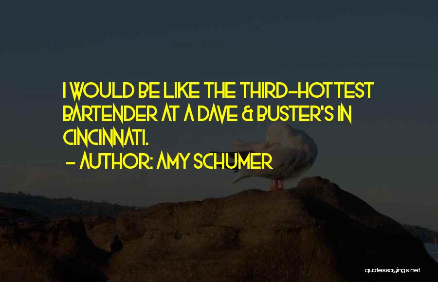 Amy Schumer Quotes: I Would Be Like The Third-hottest Bartender At A Dave & Buster's In Cincinnati.