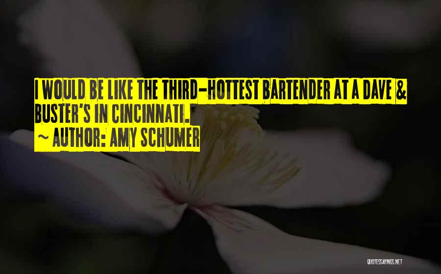 Amy Schumer Quotes: I Would Be Like The Third-hottest Bartender At A Dave & Buster's In Cincinnati.