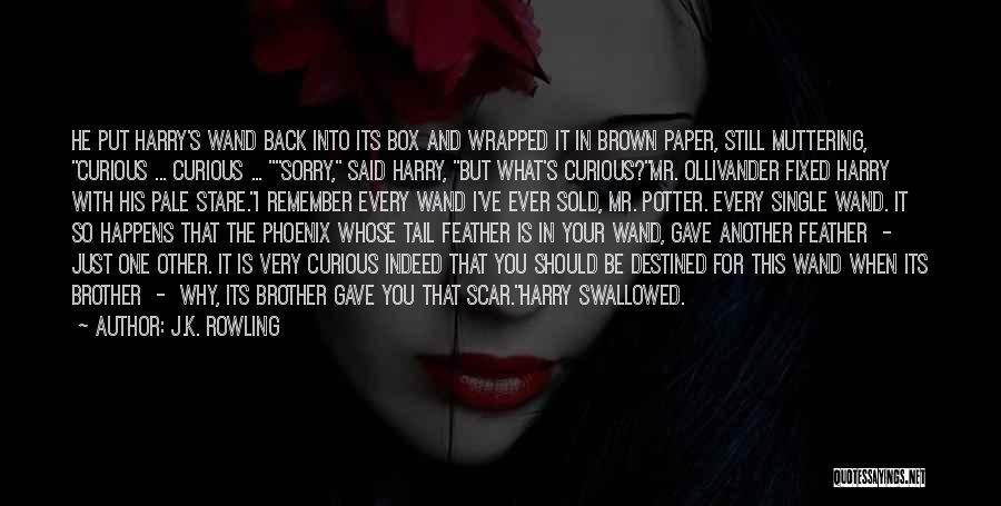 J.K. Rowling Quotes: He Put Harry's Wand Back Into Its Box And Wrapped It In Brown Paper, Still Muttering, Curious ... Curious ...