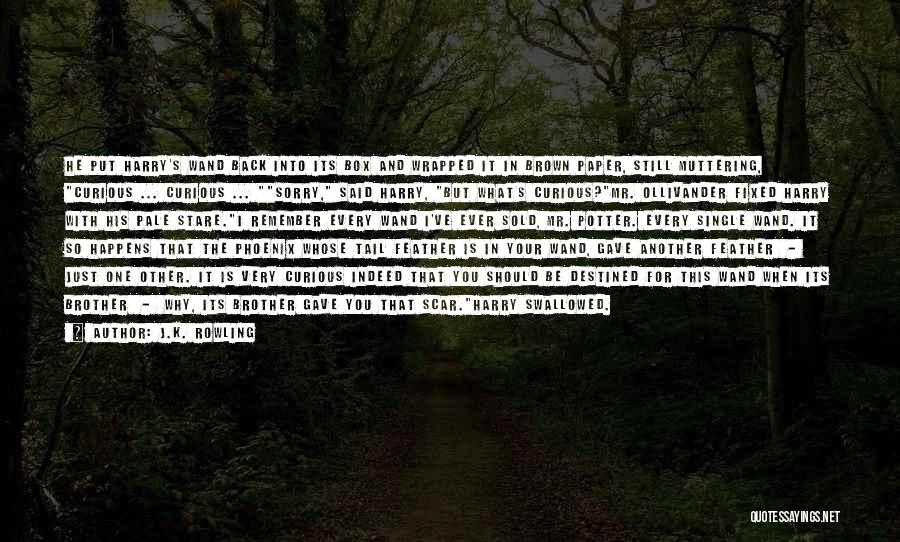 J.K. Rowling Quotes: He Put Harry's Wand Back Into Its Box And Wrapped It In Brown Paper, Still Muttering, Curious ... Curious ...