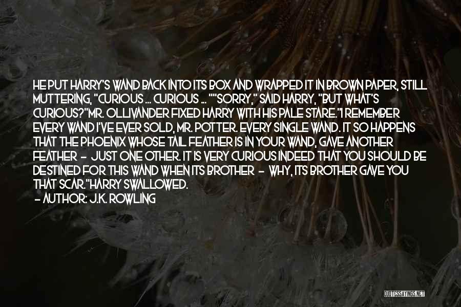 J.K. Rowling Quotes: He Put Harry's Wand Back Into Its Box And Wrapped It In Brown Paper, Still Muttering, Curious ... Curious ...