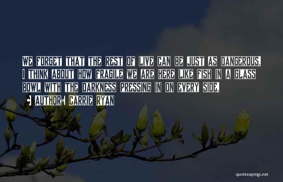 Carrie Ryan Quotes: We Forget That The Rest Of Live Can Be Just As Dangerous. I Think About How Fragile We Are Here