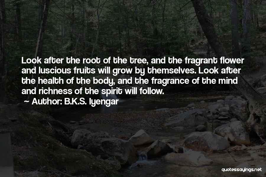 B.K.S. Iyengar Quotes: Look After The Root Of The Tree, And The Fragrant Flower And Luscious Fruits Will Grow By Themselves. Look After