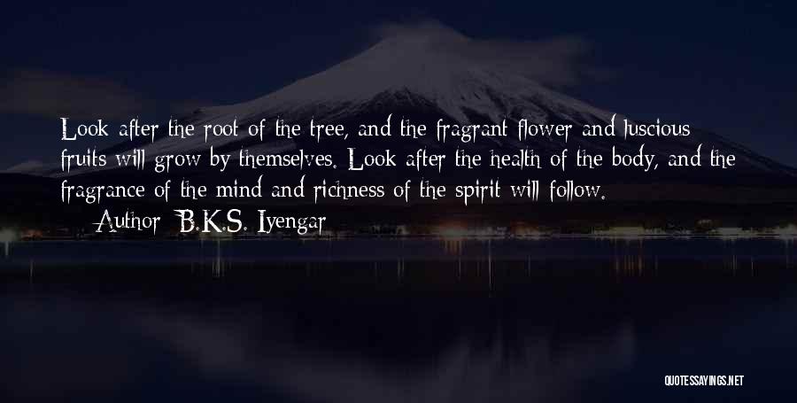 B.K.S. Iyengar Quotes: Look After The Root Of The Tree, And The Fragrant Flower And Luscious Fruits Will Grow By Themselves. Look After