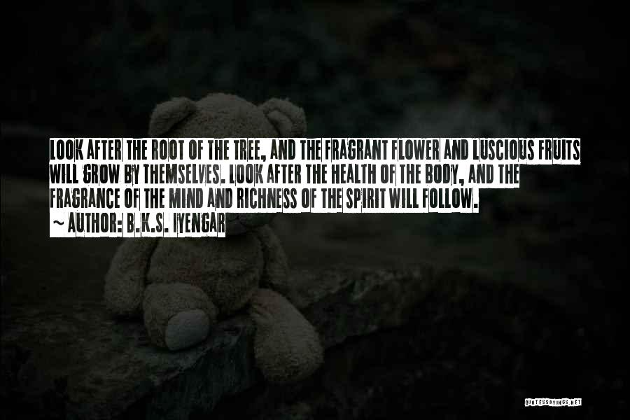 B.K.S. Iyengar Quotes: Look After The Root Of The Tree, And The Fragrant Flower And Luscious Fruits Will Grow By Themselves. Look After