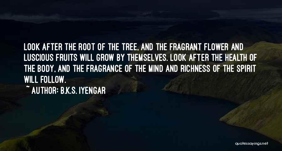 B.K.S. Iyengar Quotes: Look After The Root Of The Tree, And The Fragrant Flower And Luscious Fruits Will Grow By Themselves. Look After