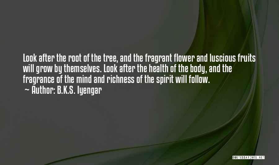 B.K.S. Iyengar Quotes: Look After The Root Of The Tree, And The Fragrant Flower And Luscious Fruits Will Grow By Themselves. Look After