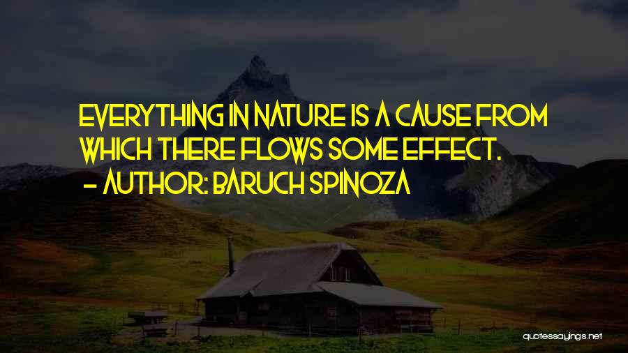 Baruch Spinoza Quotes: Everything In Nature Is A Cause From Which There Flows Some Effect.