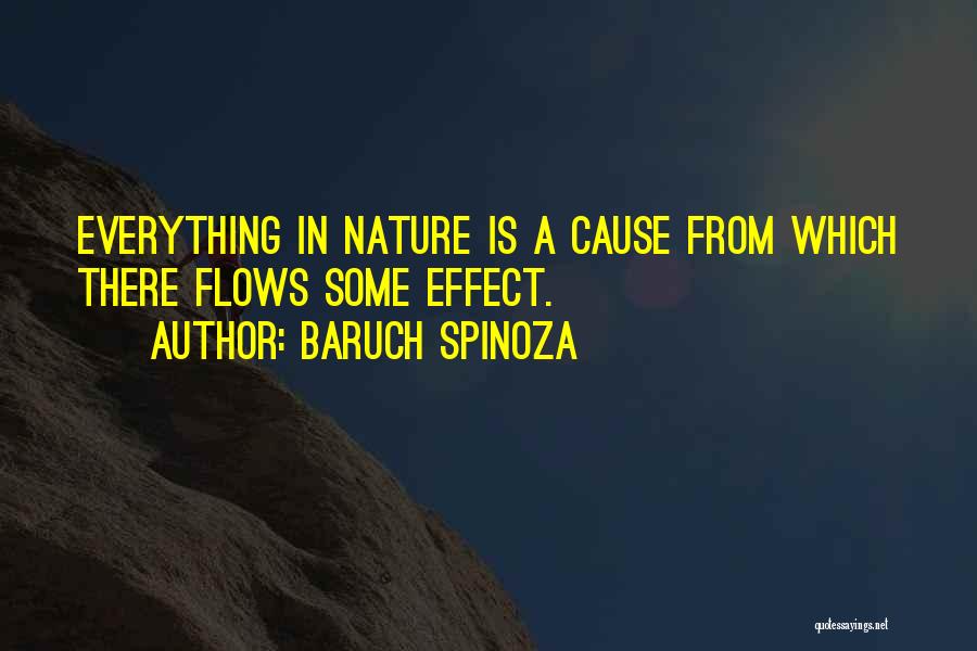 Baruch Spinoza Quotes: Everything In Nature Is A Cause From Which There Flows Some Effect.