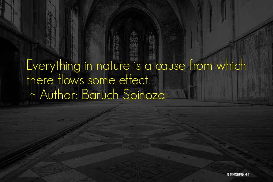 Baruch Spinoza Quotes: Everything In Nature Is A Cause From Which There Flows Some Effect.