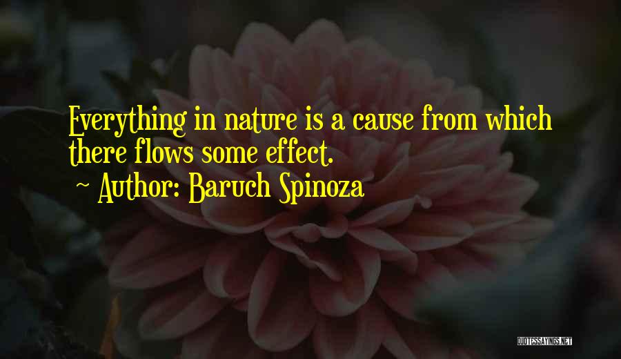 Baruch Spinoza Quotes: Everything In Nature Is A Cause From Which There Flows Some Effect.